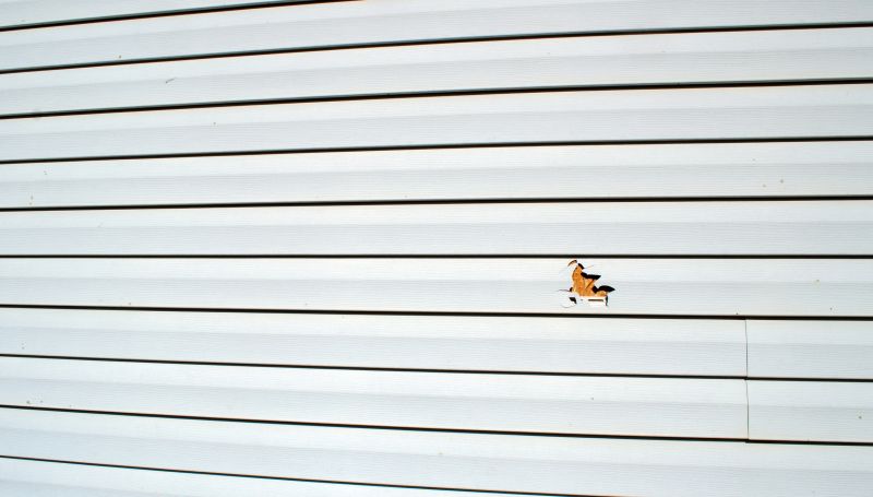 Vinyl Siding Repair - Image 9